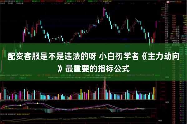 配资客服是不是违法的呀 小白初学者《主力动向》最重要的指标公式